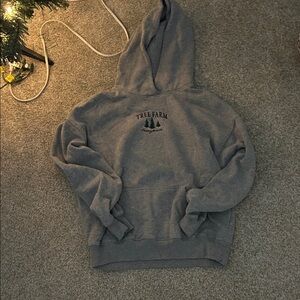 Women’s Grey Hollister Hoodie